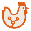 chicknology.com.mx